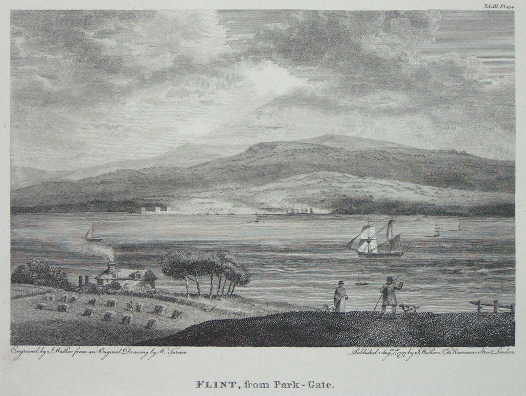 Print - Flint, from Park - Gate. - Walker